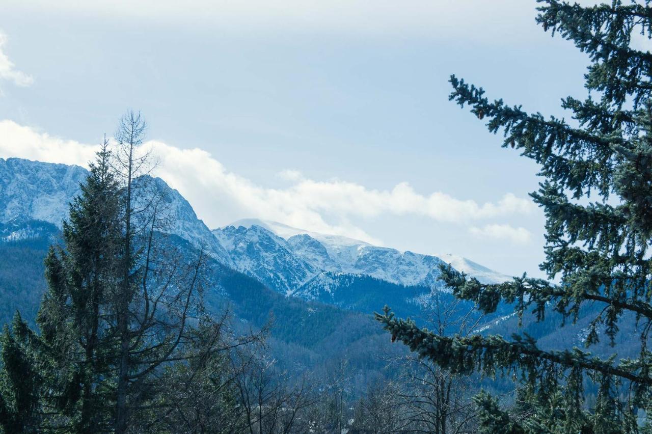 Aparthotel Delta Zakopane Exterior photo